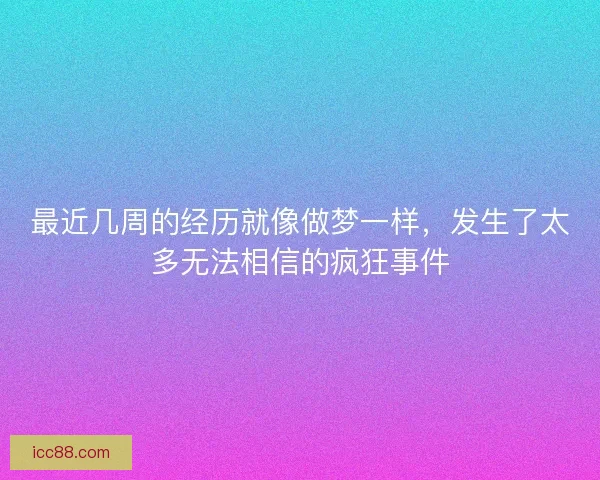 最近几周的经历就像做梦一样，发生了太多无法相信的疯狂事件